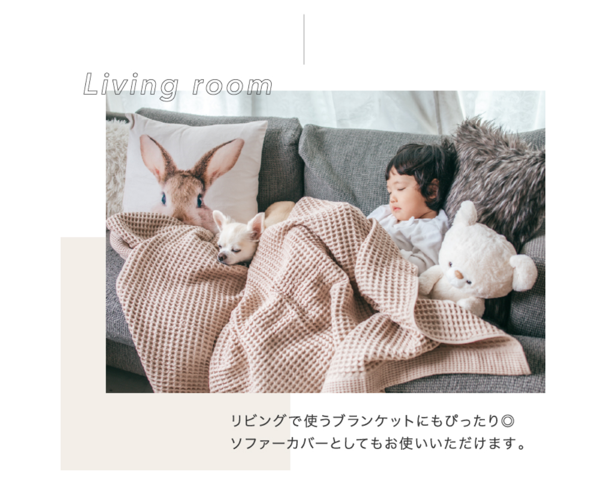 【新色登場！】今治タオル ワッフルケット シングルサイズ（140×190cm）